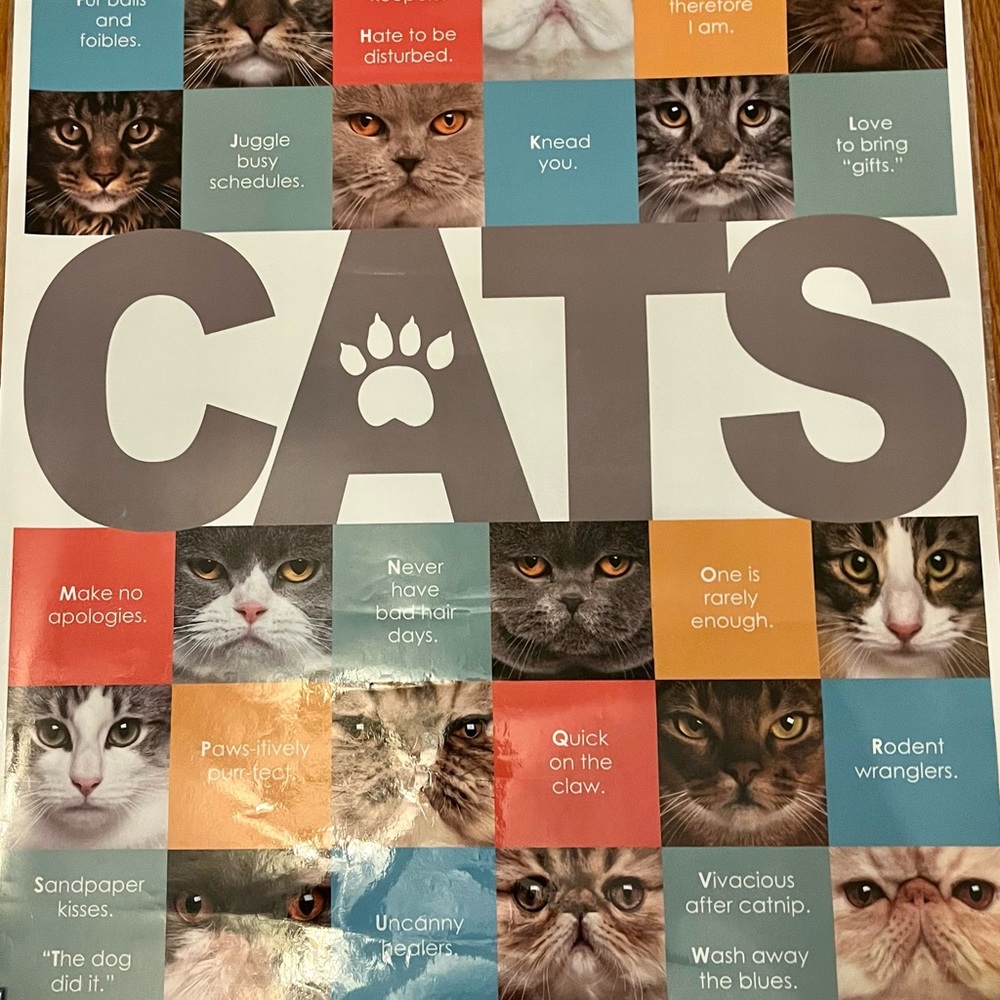 Cute ‘Reasons A-Z Why We Love Cats’ Laminated Poster 22.5” x 34”